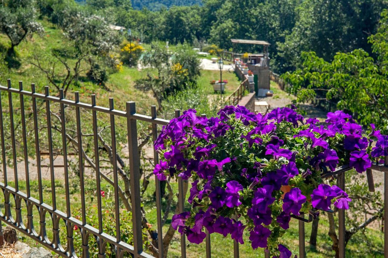 Podere Figlinelle Starda Екстериор снимка